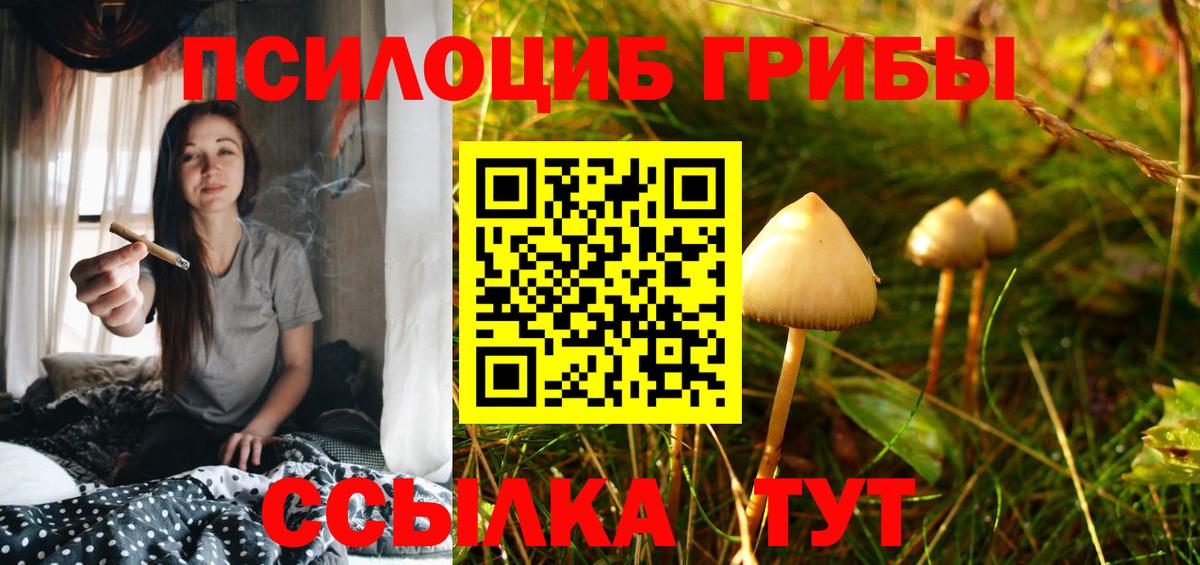 Галлюциногенные грибы Magic Shrooms  Вход с VPN  Псилоцибиновые грибы Psilocybe  Дмитров 